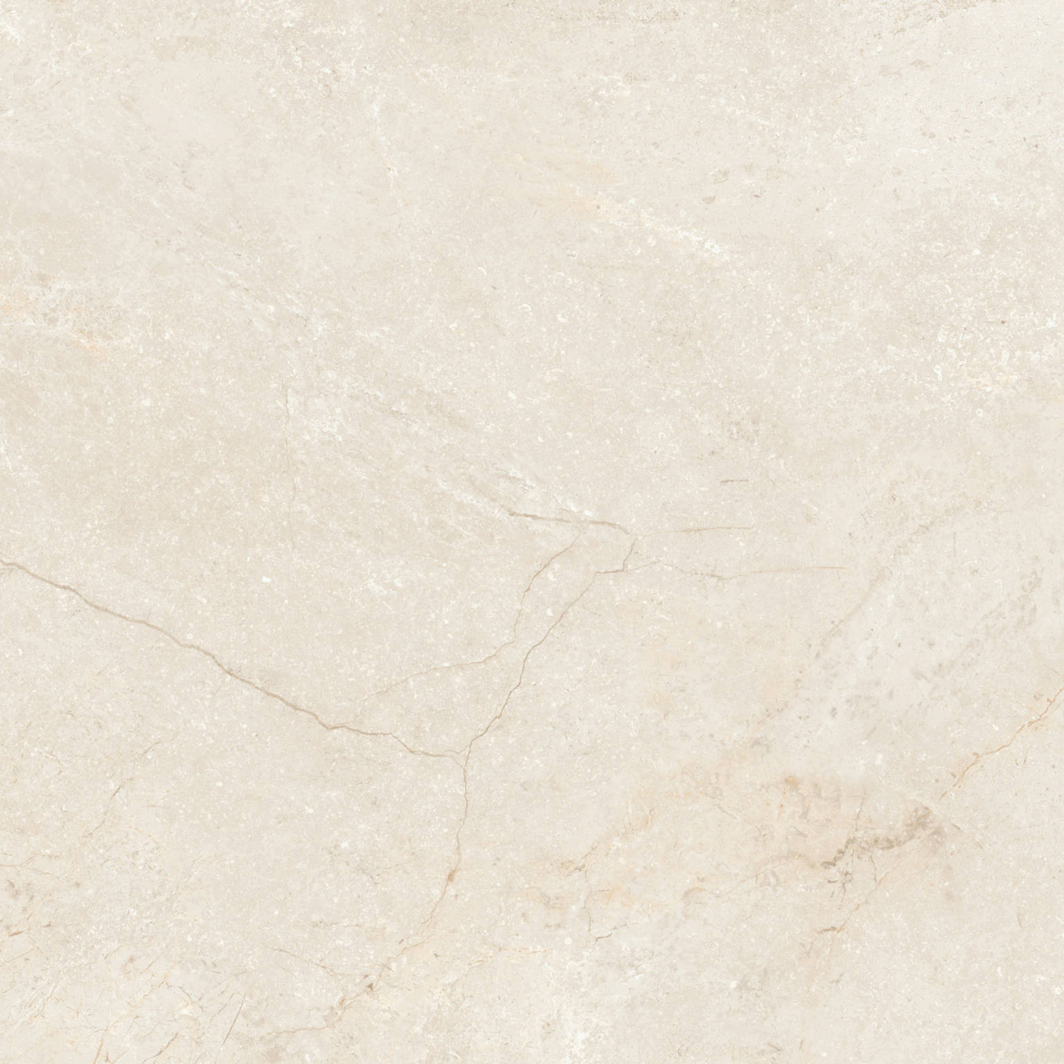 Wells Ivory Polished | General Ceramic
