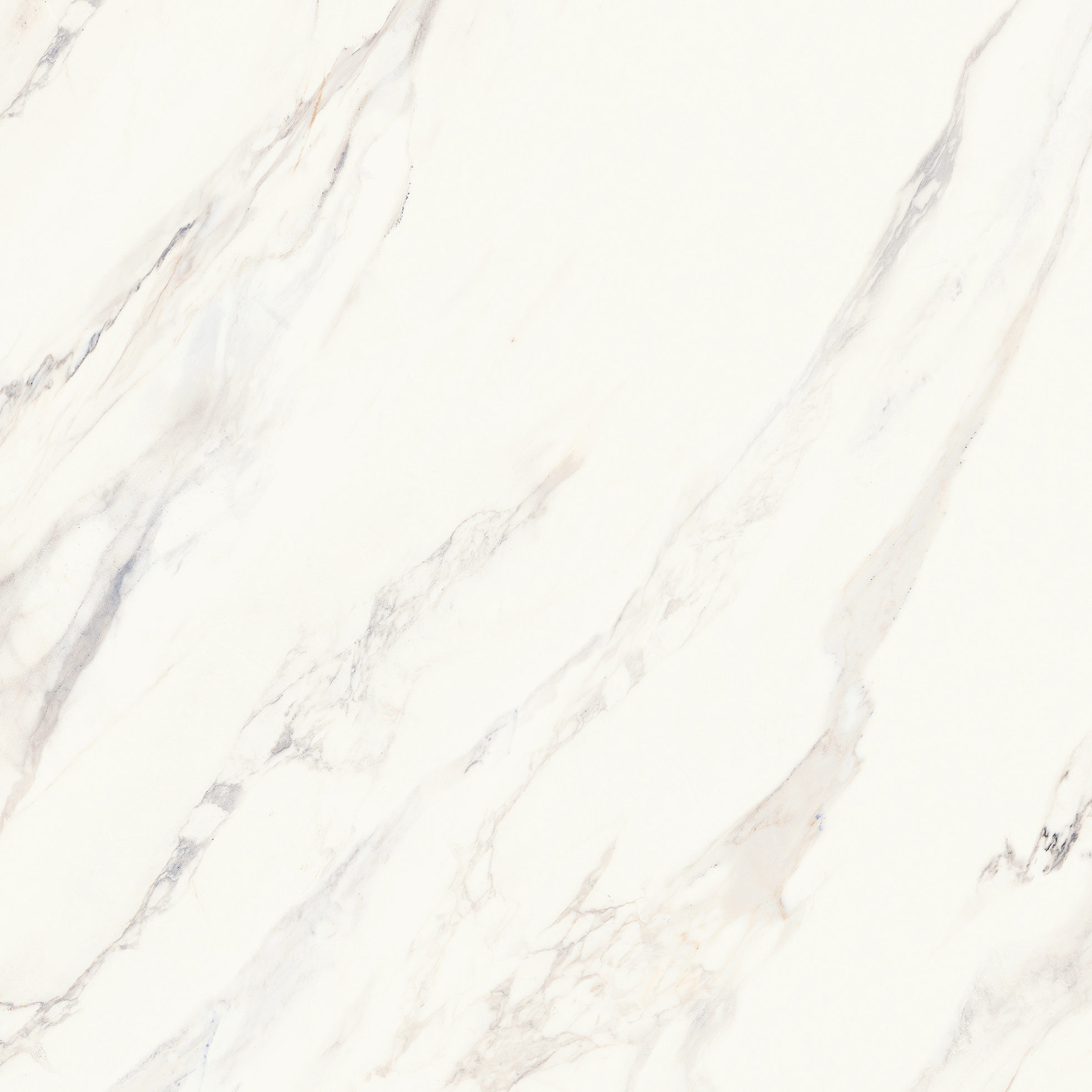 Catania White Matte Rect. | General Ceramic Tiles