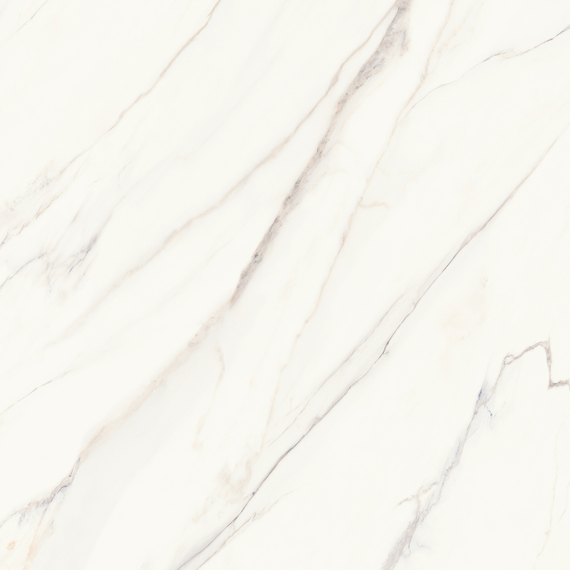 Catania White Matte Rect. | General Ceramic Tiles