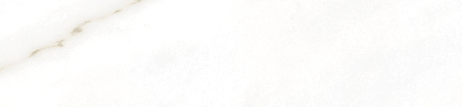 Floor Bullnose Golden White Matte | General Ceramic Tiles
