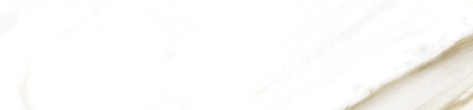 Floor Bullnose Golden White Matte | General Ceramic Tiles