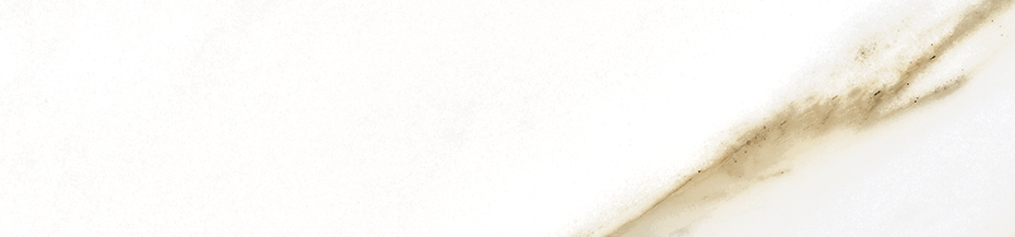 Floor Bullnose Golden White Matte | General Ceramic Tiles