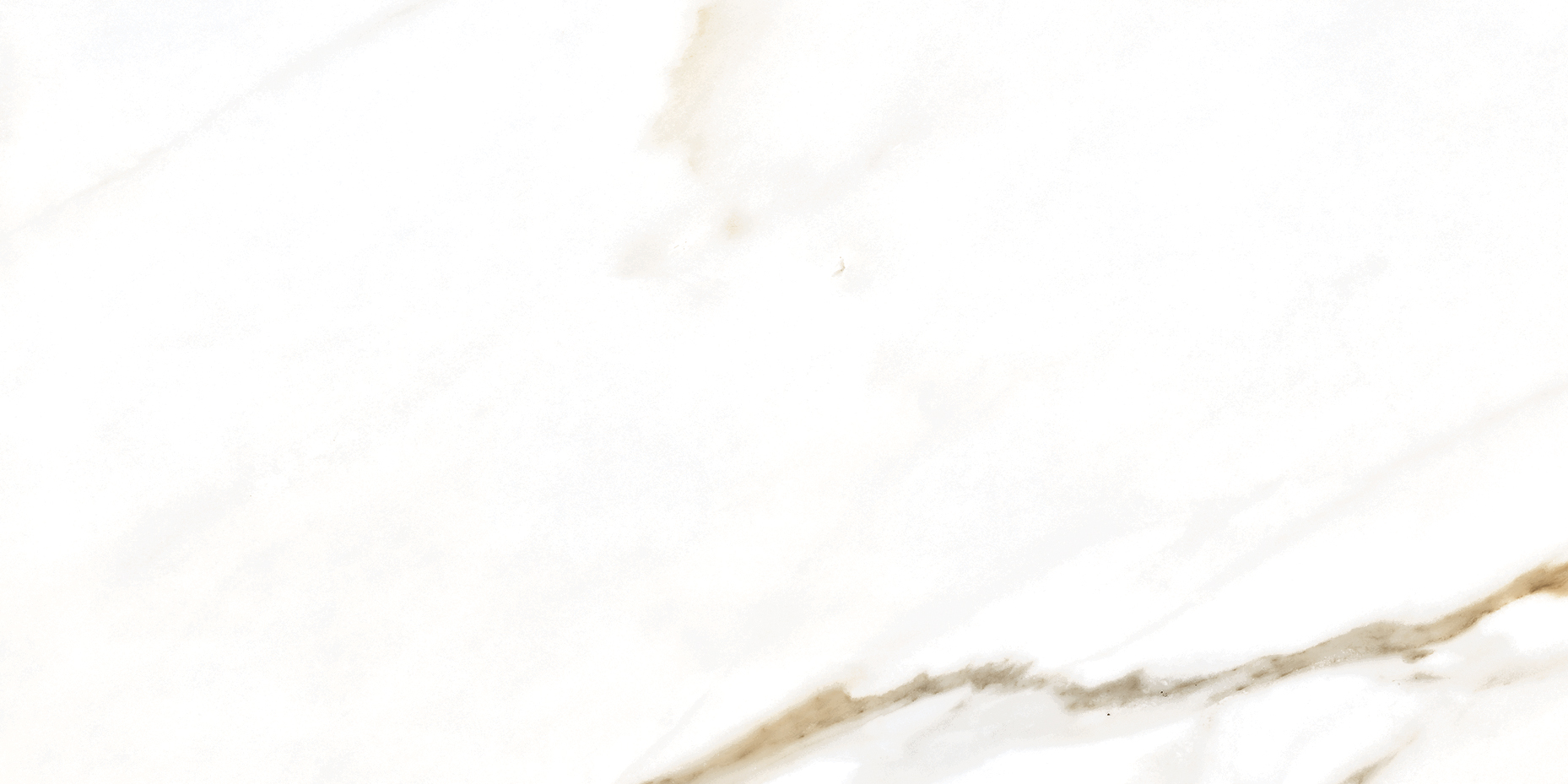 Golden White Matte | General Ceramic Tiles
