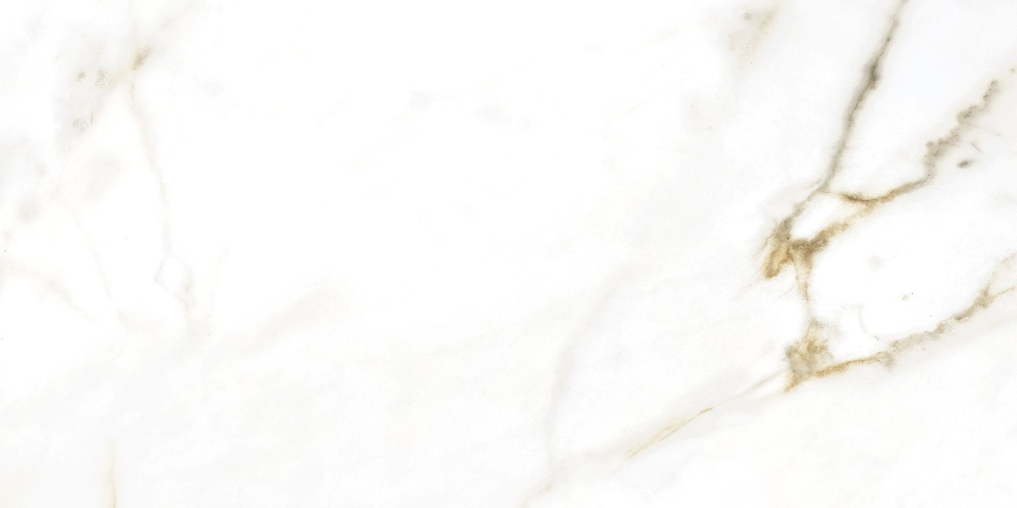 Golden White Matte | General Ceramic Tiles