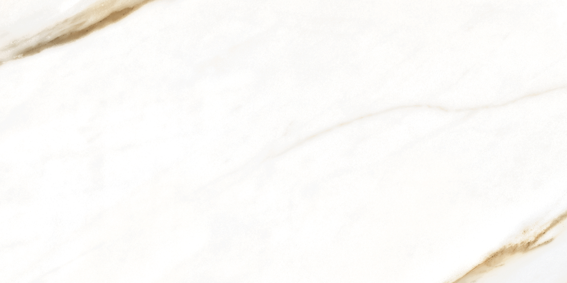 Golden White Polished | General Ceramic Tiles