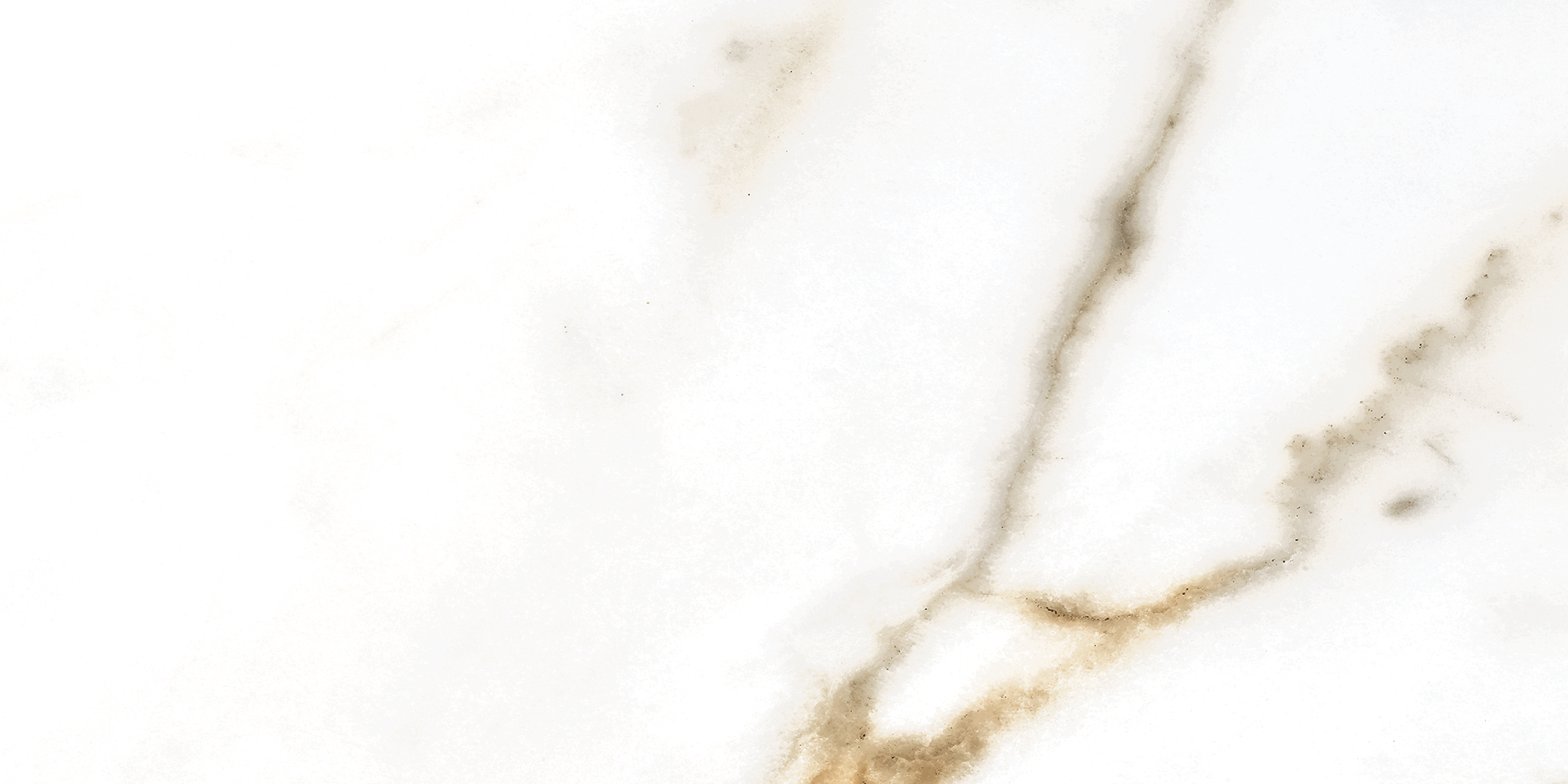 Golden White Polished | General Ceramic Tiles