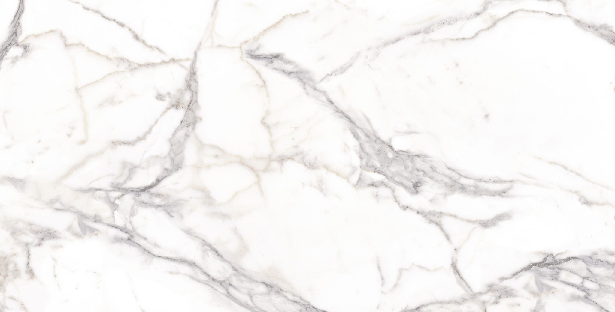 Statuario Matte Rect | General Ceramic Tiles