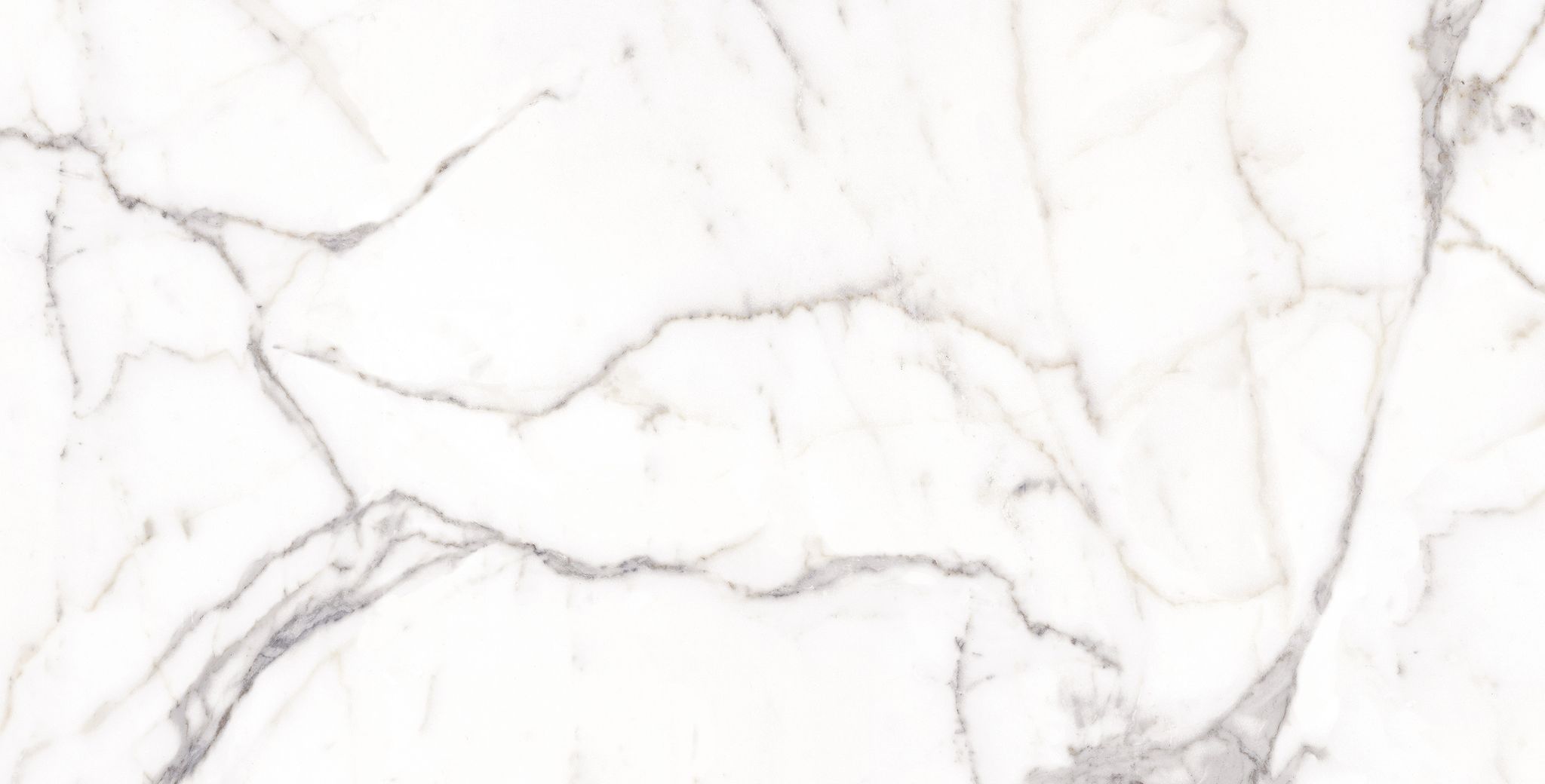 Statuario Matte Rect | General Ceramic Tiles