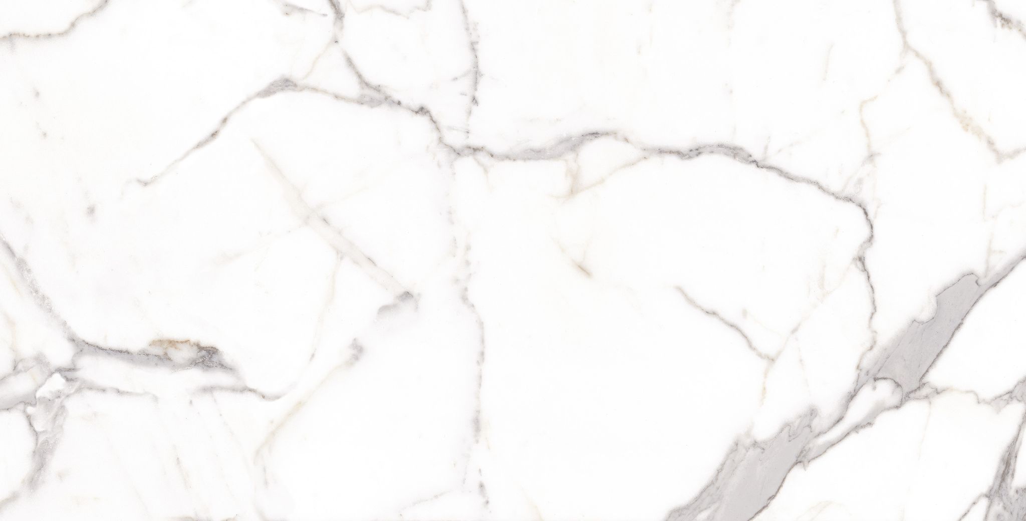 Statuario Matte Rect | General Ceramic Tiles