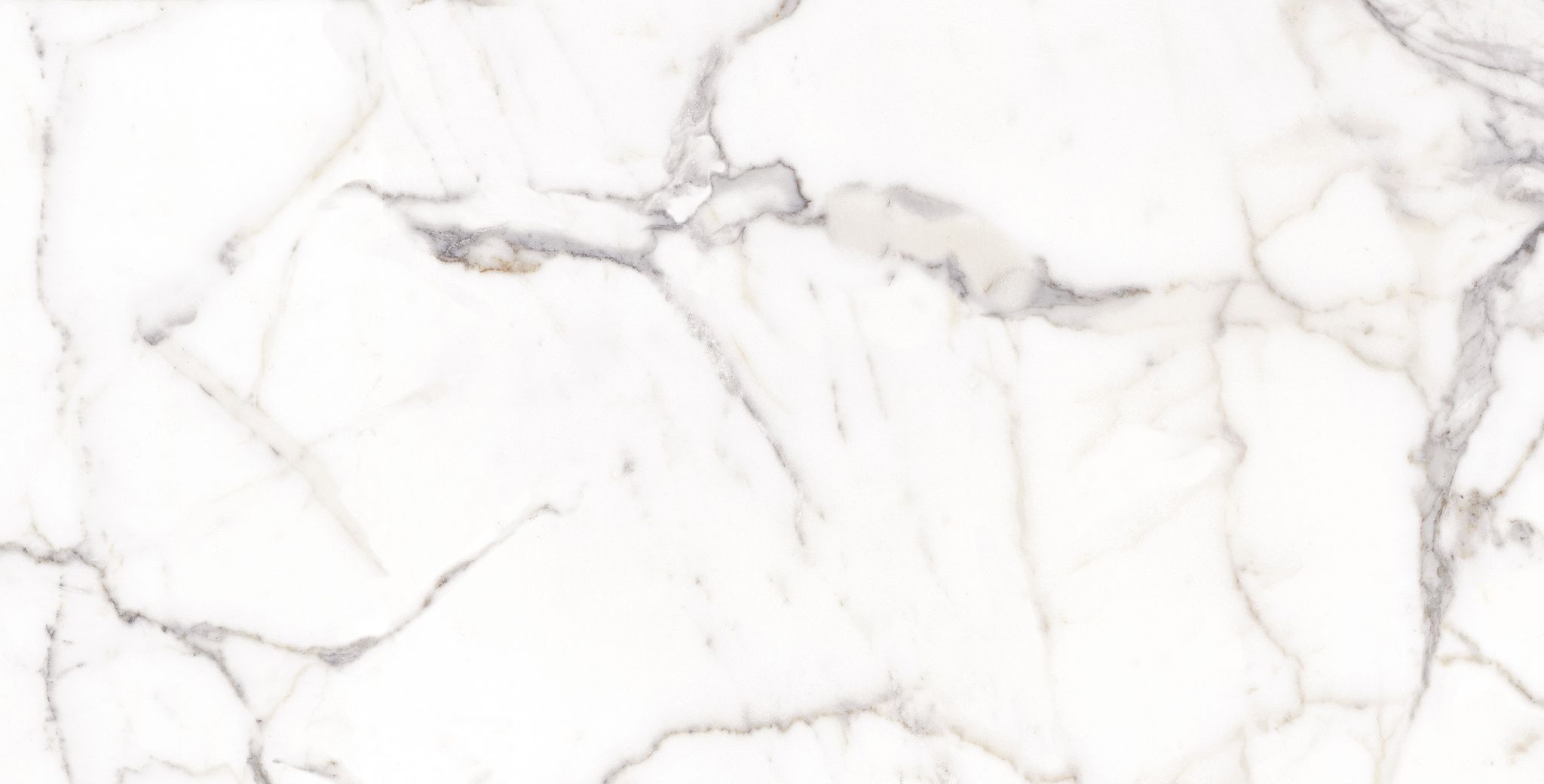 Statuario Matte Rect | General Ceramic Tiles