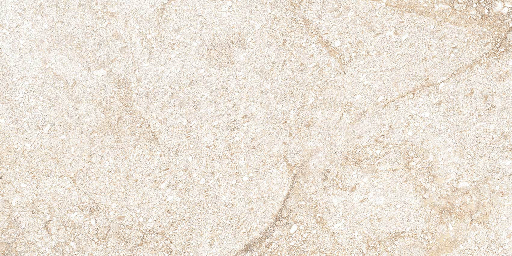 Denver Bone | General Ceramic Tiles